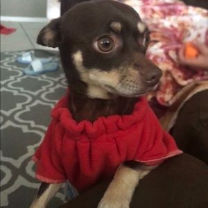 Meet your Posher, Paul